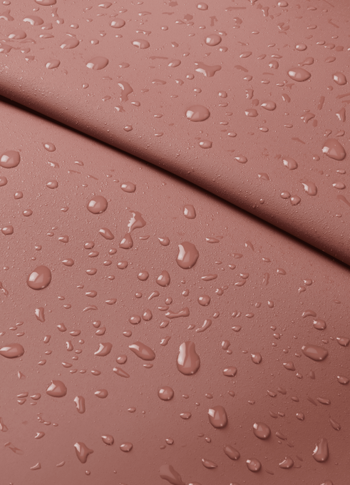 Lipault Lost In Berlin Passport Cover  Rosewood