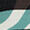 Zebra Green Zebra Green